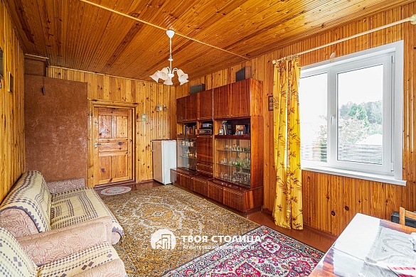 дача, Репортер - фото 9 