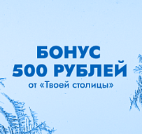 Бонус 500 рублей от “Твоей столицы” и новогодний ТОП квартир!
