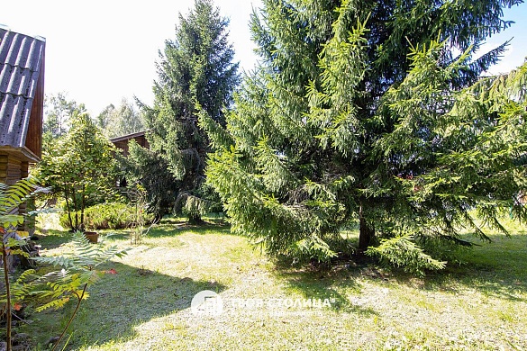 дача, Слобода - фото 62 