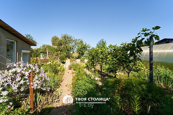 дача, Зацень - фото 44 