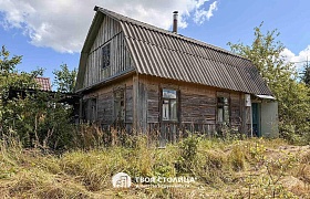 дача, Смолевичский район, Домашаны