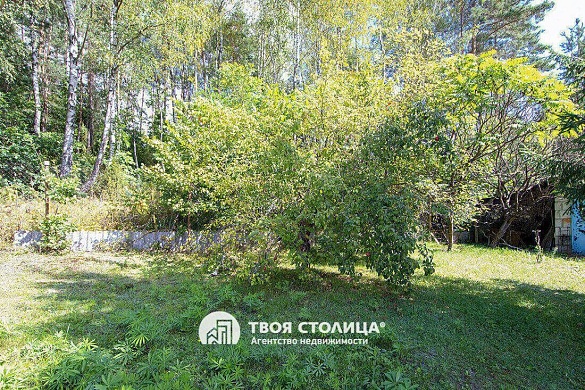 дача, Слобода - фото 59 