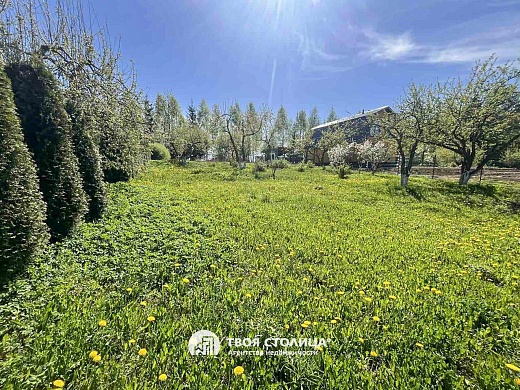 дача, Беларучи - фото 4 