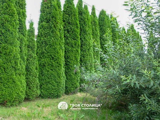 дом, Залужье - фото 28 