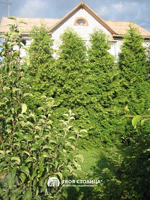 полдома, Михановичи - фото 6 