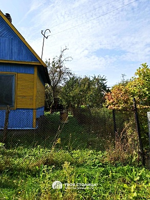 дача, Елочка - фото 7 
