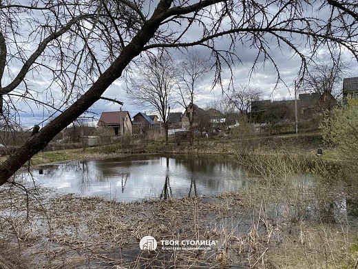 дача, ВЕРАС-1987 - фото 20 