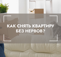 Заехать с кошкой и не платить за ремонт: как снять квартиру без нервов