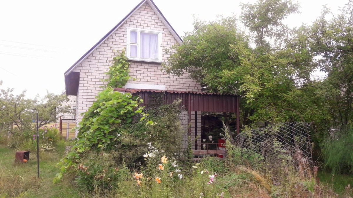 Главное фото