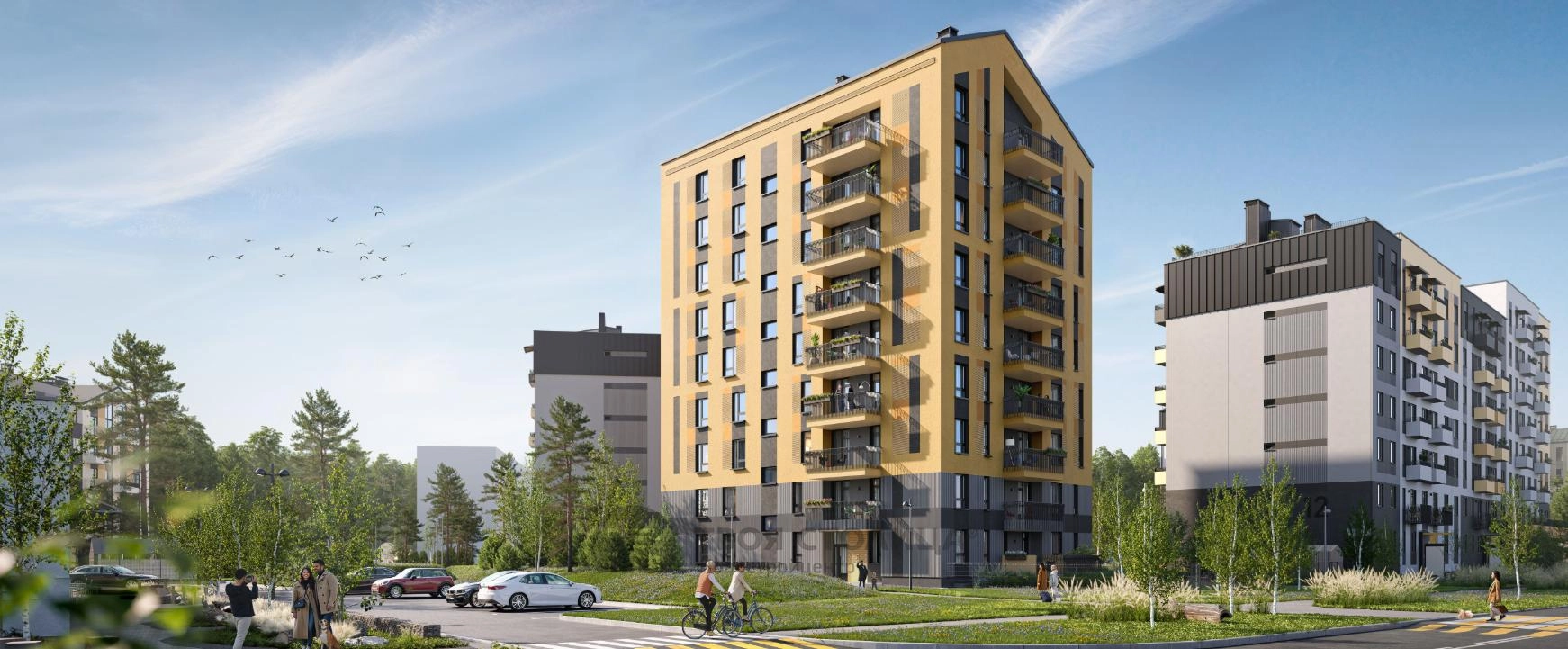 Главное фото