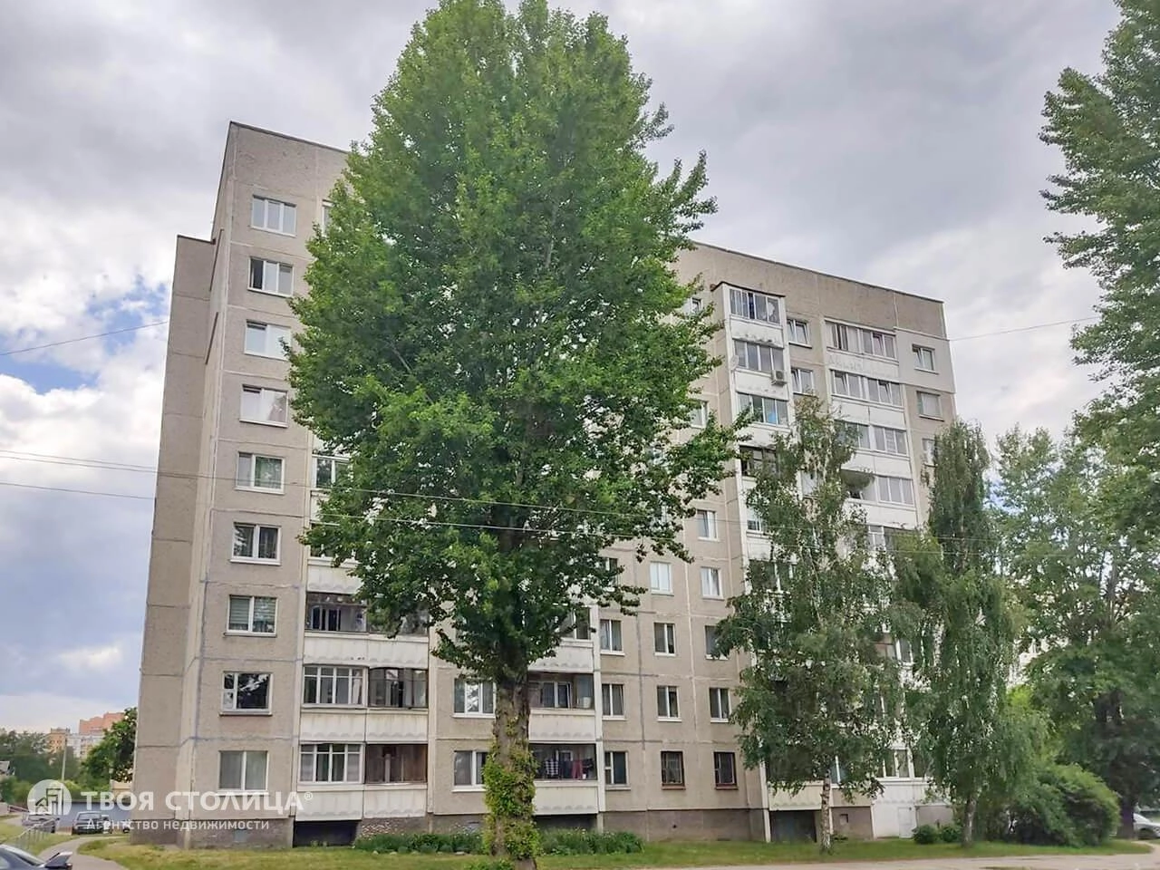 Главное фото