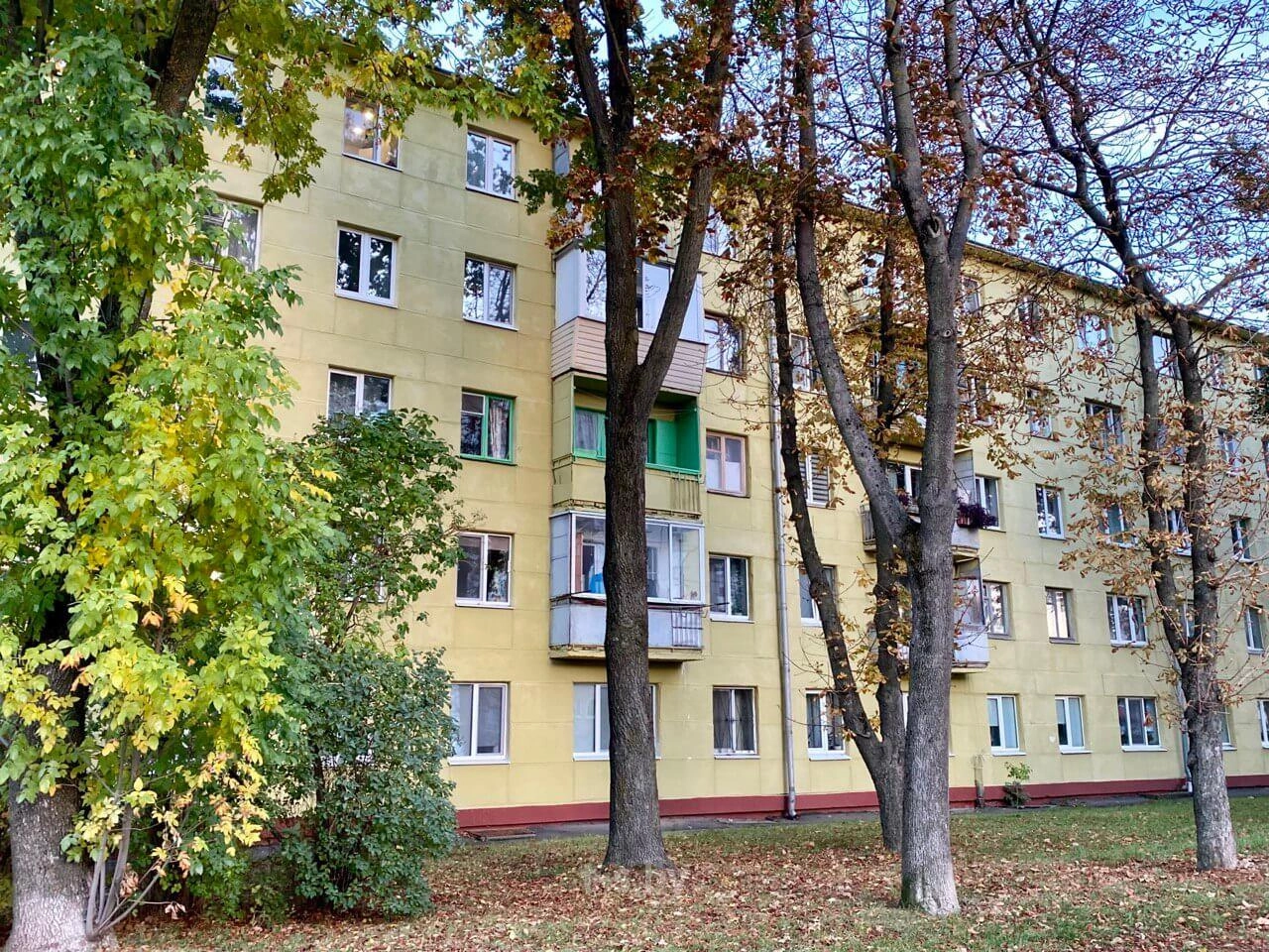 Главное фото