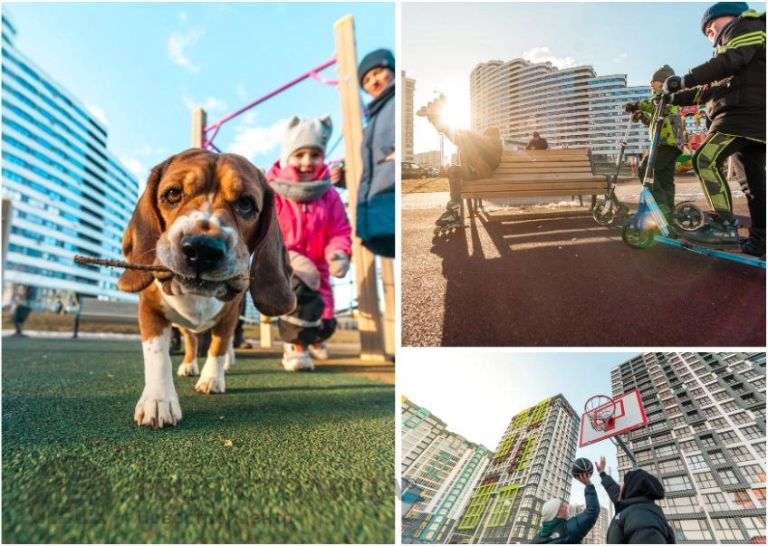 Главное фото