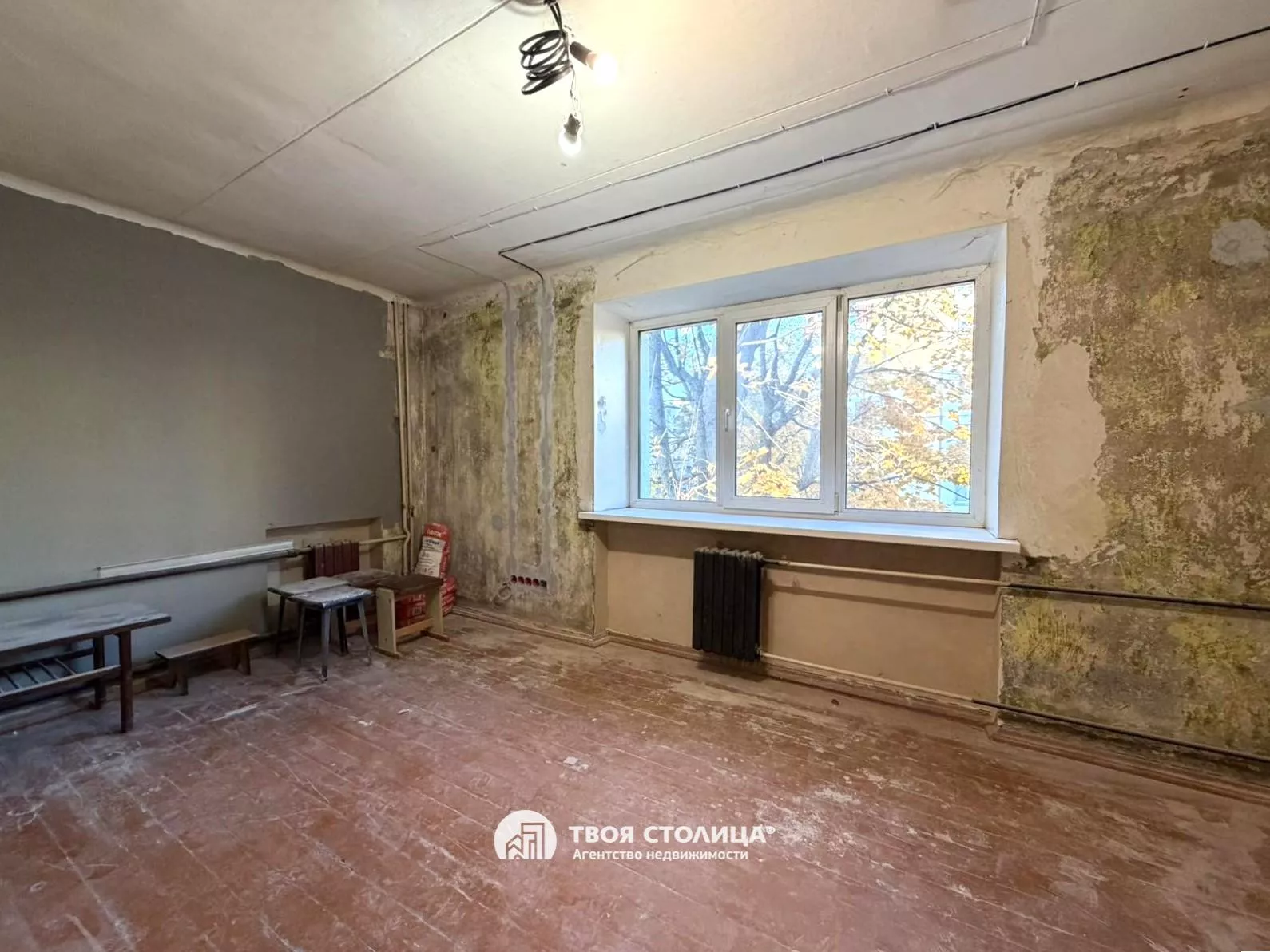 Фото 5